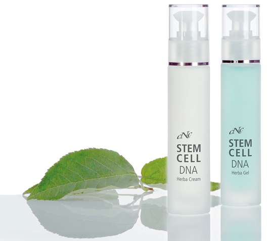 CNC face one Stem Cell DNA, Quelle: CNC cosmetic GmbH