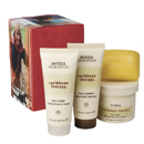 AVEDA WEIHNACHTSKOLLEKTION 2009