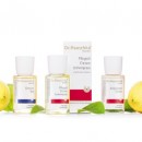 Citronenpflege von Dr.Hauschka Kosmetik in praktischen Sondergrößen