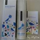 Snowberry „Bright Defence Day Cream No. 1“ Tagescreme fürs Gesicht