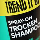 Balea Trend It Up Spray-On Trockenshampoo