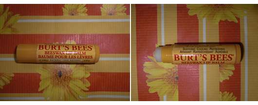 Burt’s Bees Beewax Lip Balm