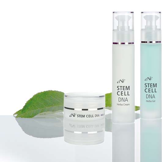 CNC face one – Stem Cell DNA