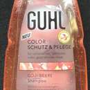 Guhl Color Schutz & Pflege Shampoo 