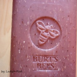 Produktbild zu Burt’s Bees Replenishing Body Bar – Cranberry & Pomegranate