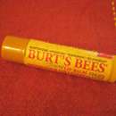 Burt’s Bees Honey Lip Balm
