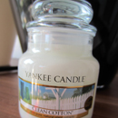 Yankee Candle Clean Cotton Housewarmer