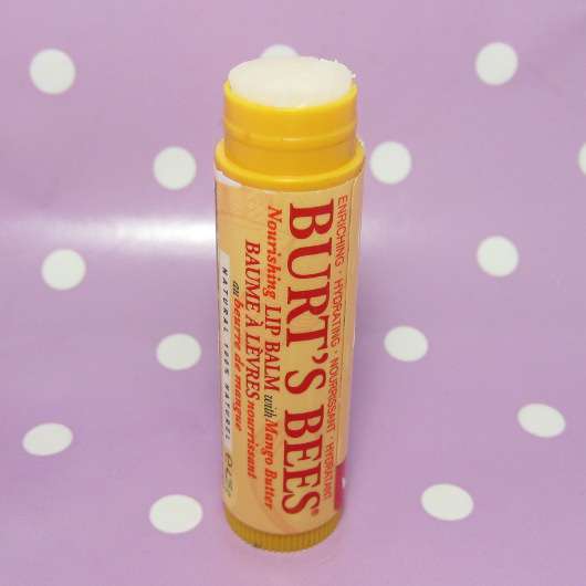 Burt’s Bees Nourishing Lip Balm with Mango Butter