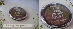 Produktbild zu essence wild craft eyeshadow – Farbe: 02 out of the forest (LE)