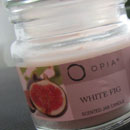 Primark Beauty Opia White Fig Scented Jar Candle