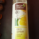 Terra Naturi Deospray Citrus & Salbei