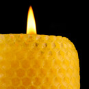 Bienenwachs – ein Rohstoff für: Stifte, Emulsionen, Cremes und mehr