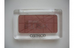 Produktbild zu Catrice Defining Blush – Farbe: 060 Rosewood Forest