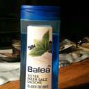Balea Totes Meer Salz Dusche Blauer Tee Duft
