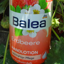 Balea Handlotion Erdbeere (LE)