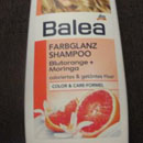 Balea Farbglanz Shampoo Blutorange + Moringa