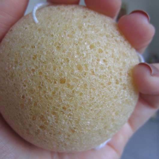 Cleo Cosmetics Ginger Konjac Sponge