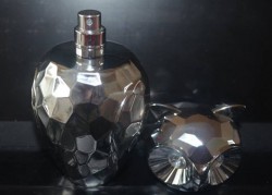 Produktbild zu Jean-Pierre Sand Paris Belluna Sterling Intense Eau de Parfum For Women