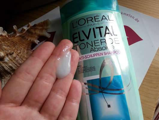 L'Oreal Paris Elvital Tonerde Absolue Anti-Schuppen Shampoo