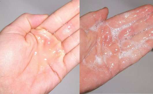 LOGONA Glanz Shampoo Bio-Arganöl - Konsistenz und Schaumbildung