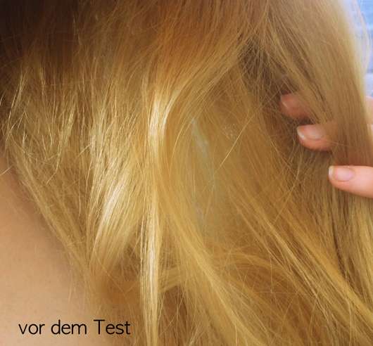 Haare vor dem Test der LANGHAARMÄDCHEN Silver Blond Haarmaske
