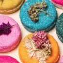 Lush bringt euch 6 neue Shampoo-Bars