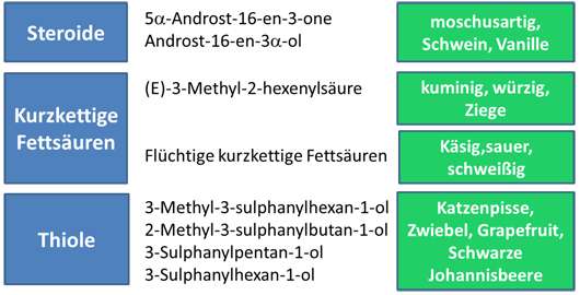 Abbildung 2: