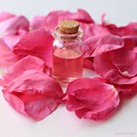 Rosenwasser - ein gehyptes Beauty-Produkt