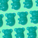 LUSH Koala Charity Soap