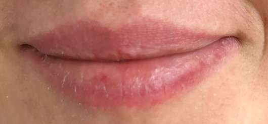 Lippen vor dem Test des DIONIS Goat Milk Lip Balm "Vanilla Bean"