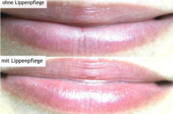 DIONIS Goat Milk Lip Balm „Berry“