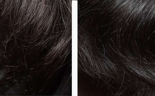 links: Haare zu Testbeginn // rechts: Haare nach Testende