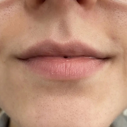 Lippen ohne Die Naturtante Lipgloss Rosenholz, Farbe: Weinrot Lippen ohne Die Naturtante Lipgloss Rosenholz, Farbe: Weinrot